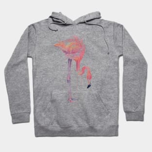 Flamingo Painting Watercolor Hoodie